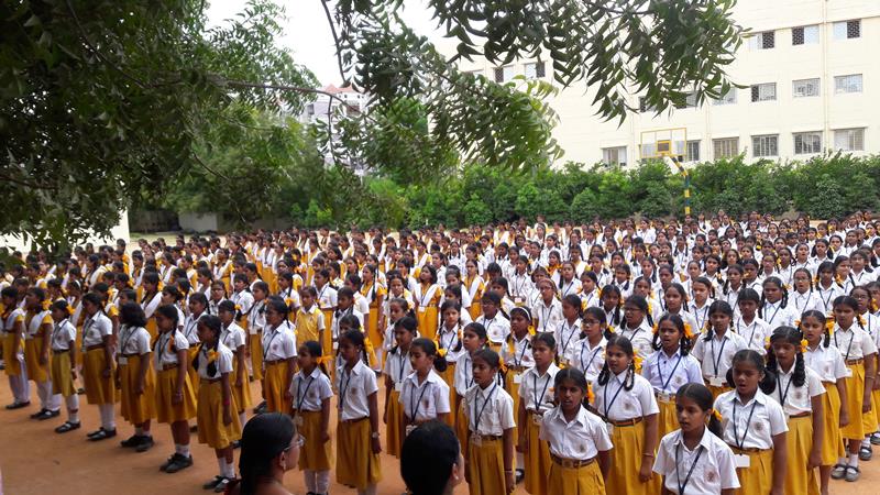 MVM Hamirpur School Education